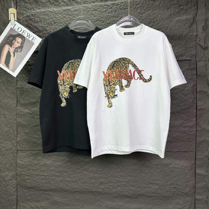 Picture of Versace T Shirts Short _SKUVersaceS-XL7ctr15355